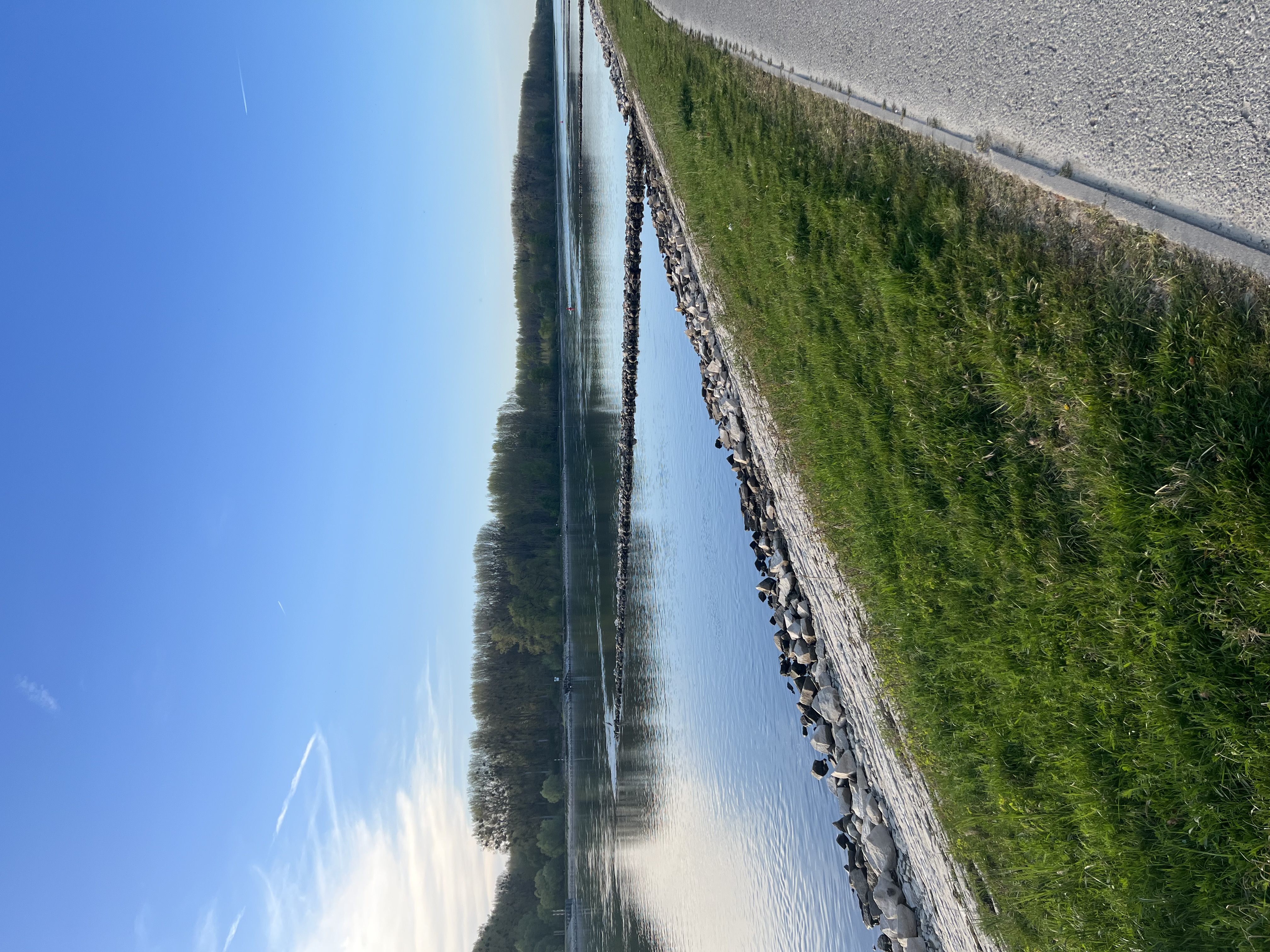 Blick auf den Mittleren Oberrhein bei Leopoldshafen als Symbol für Wasserresilienz, Naturbezug und gesellschaftliche Zukunftsfähigkeit